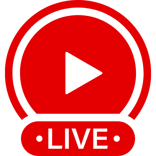 Bigpinis | Live Webcam Shows & Interactive Adult Entertainment
